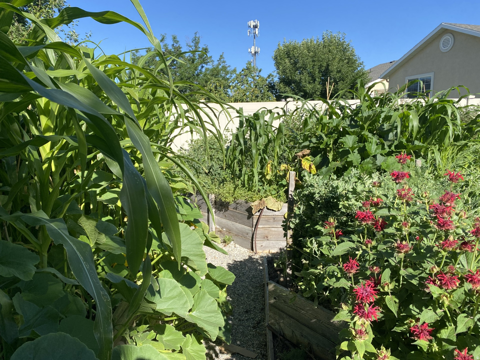 ROYLANCE FARMS - Residential Income