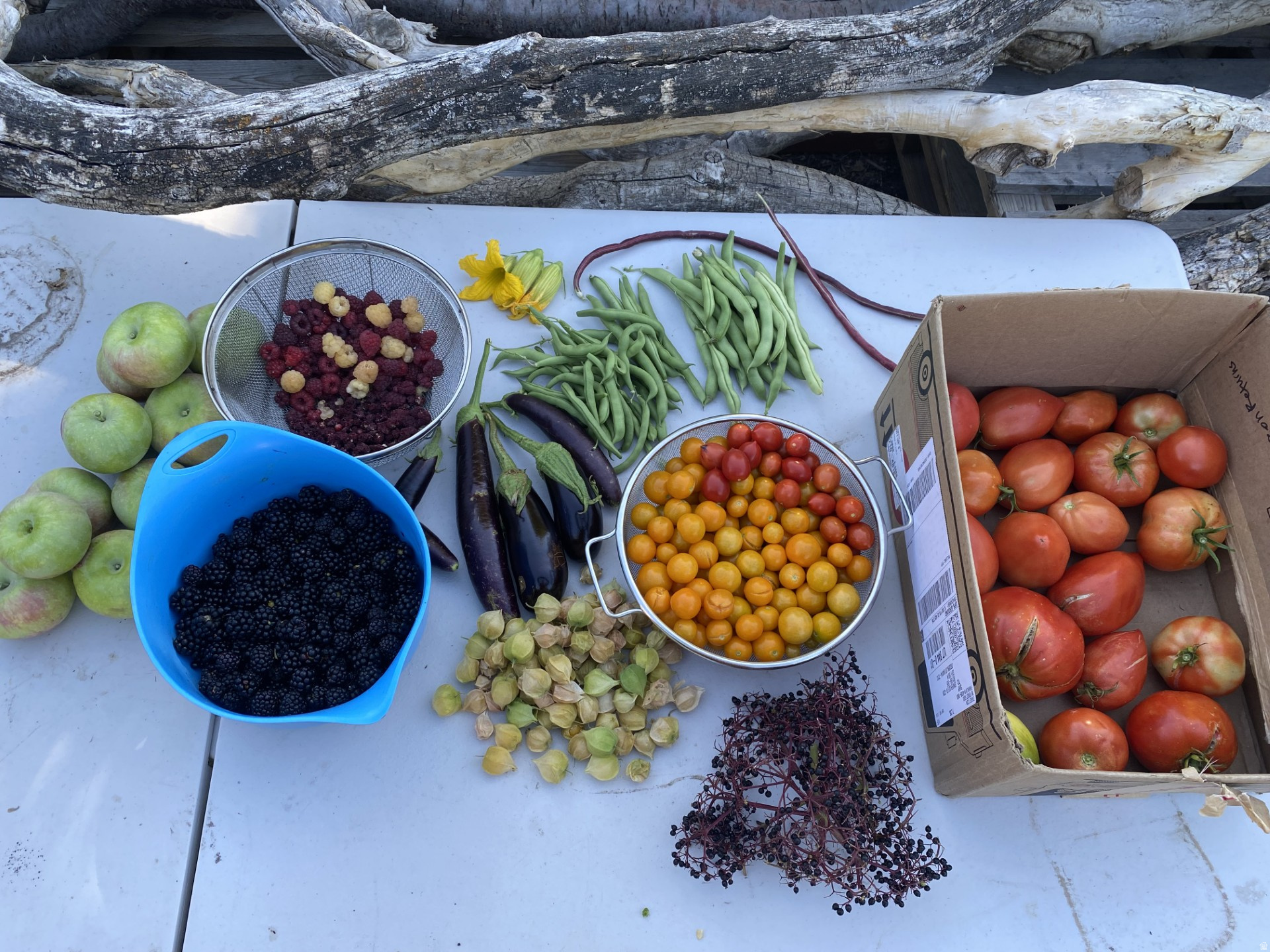 ROYLANCE FARMS - Residential Income