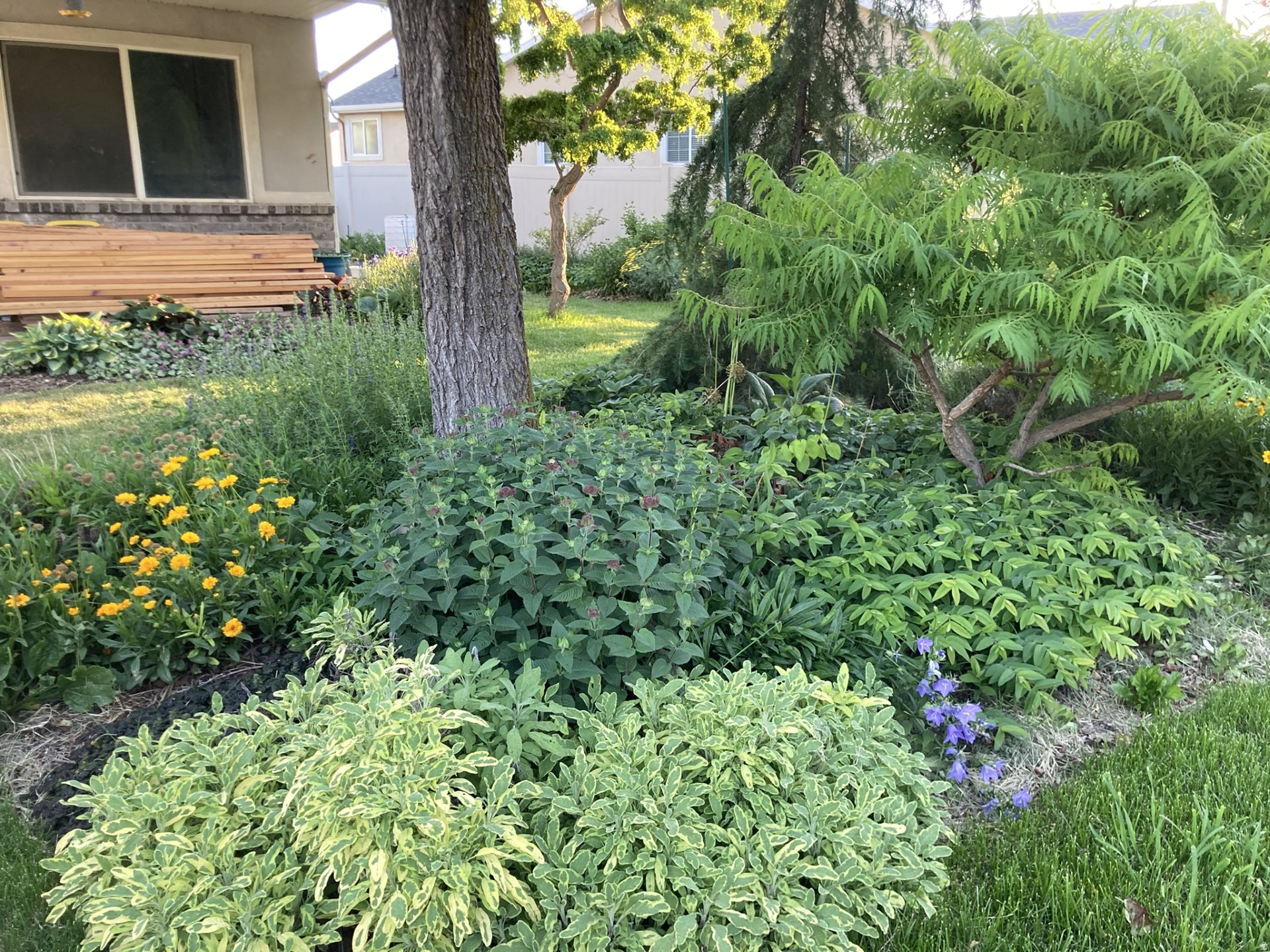 ROYLANCE FARMS - Residential Income