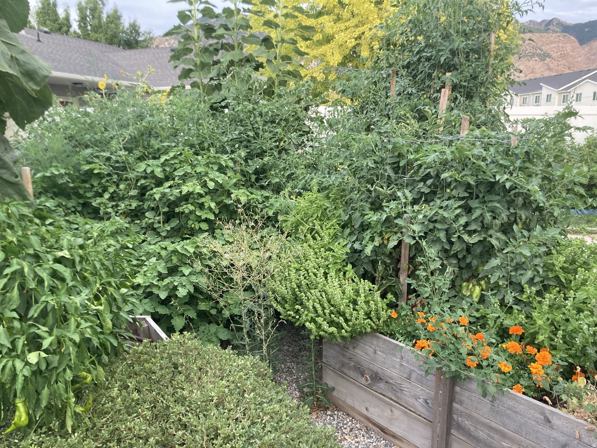 ROYLANCE FARMS - Residential Income