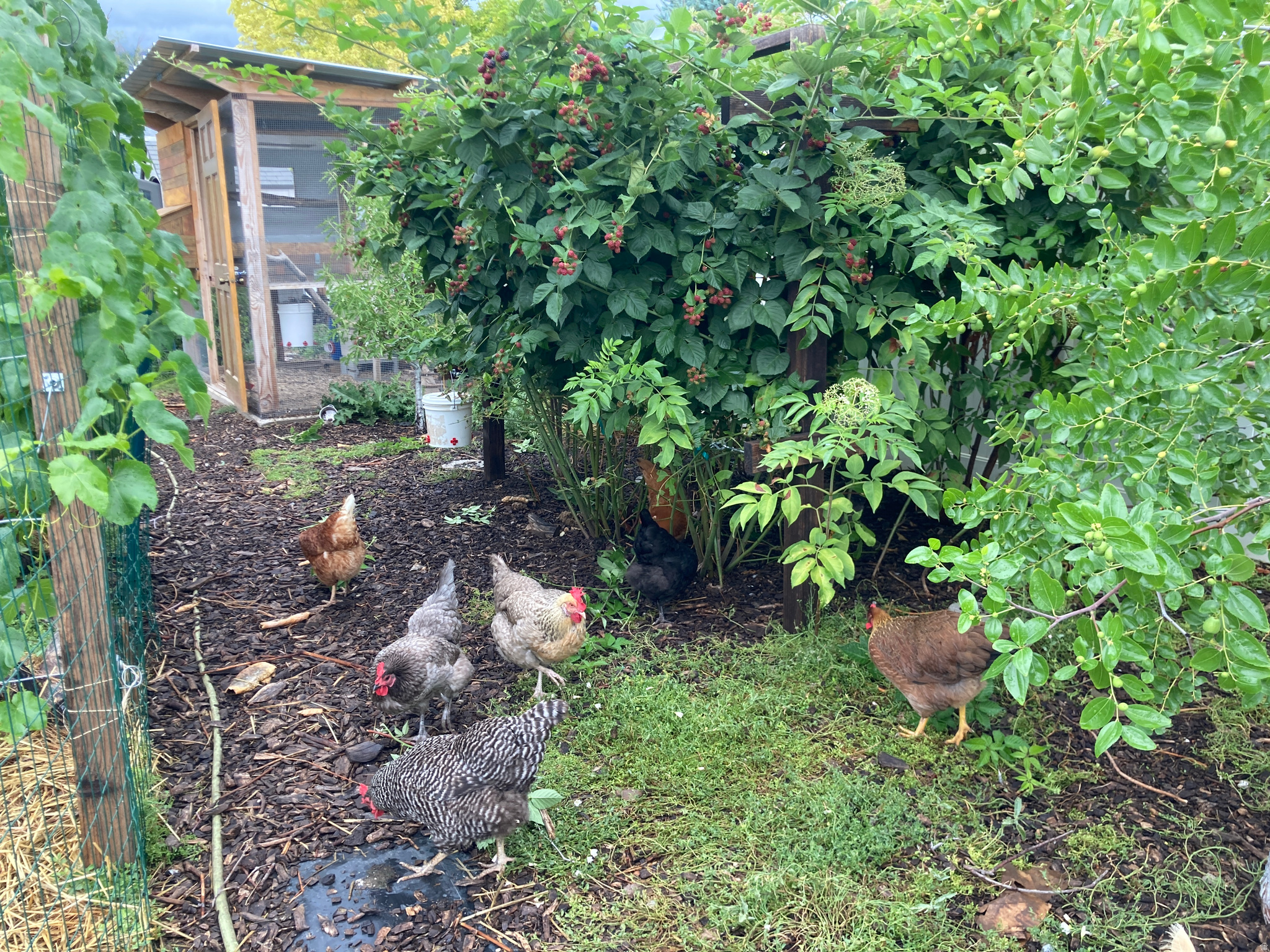 ROYLANCE FARMS - Residential Income