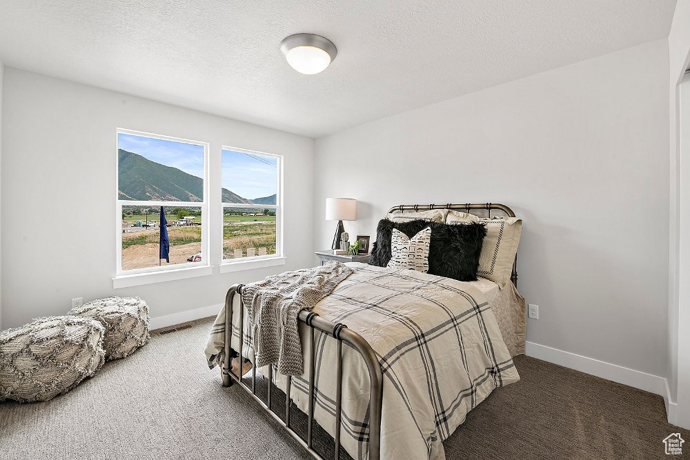 1348 N 1400 #ARTH-6, Payson, Utah image 10