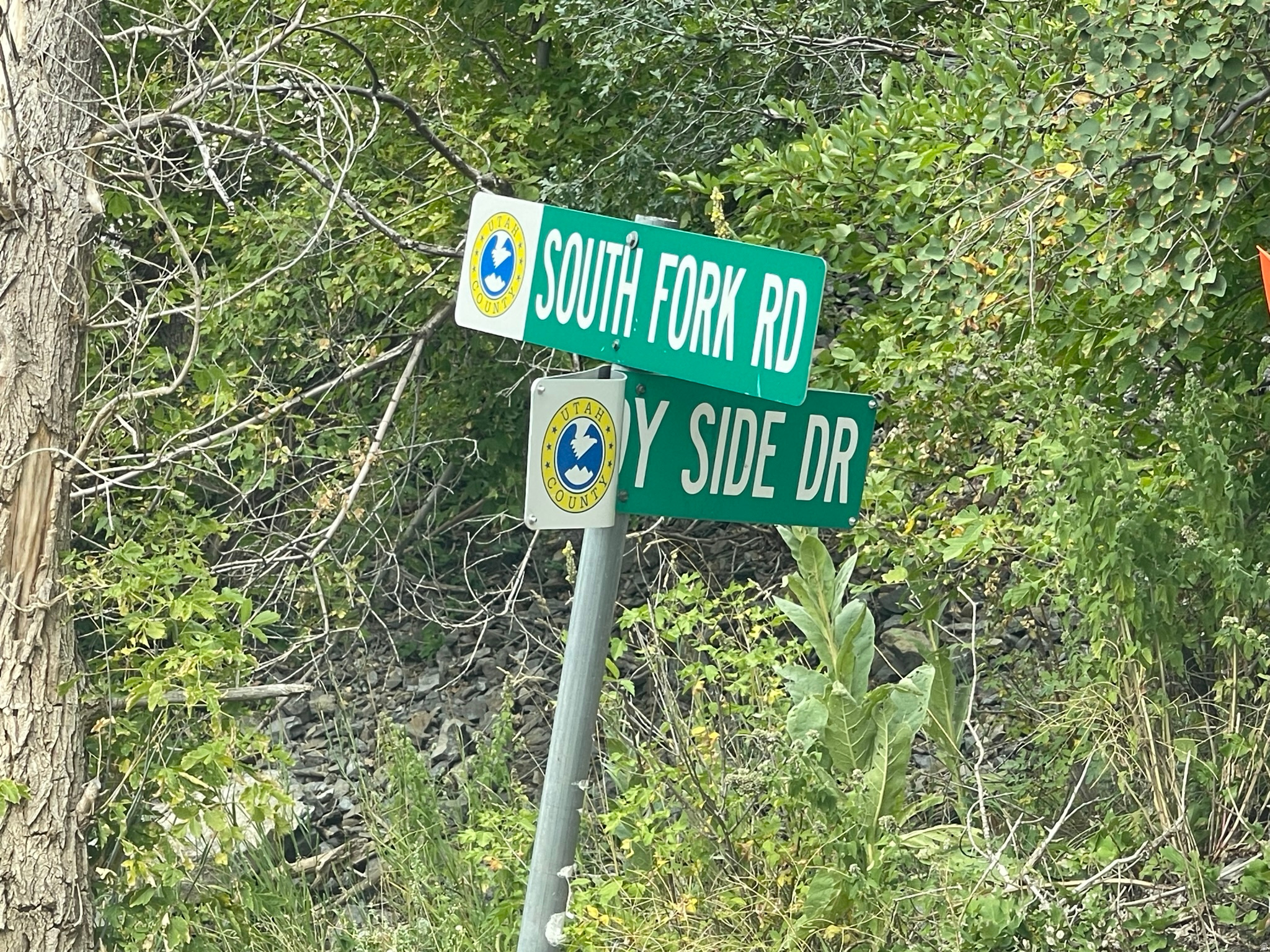 SHADYSIDE - Residential