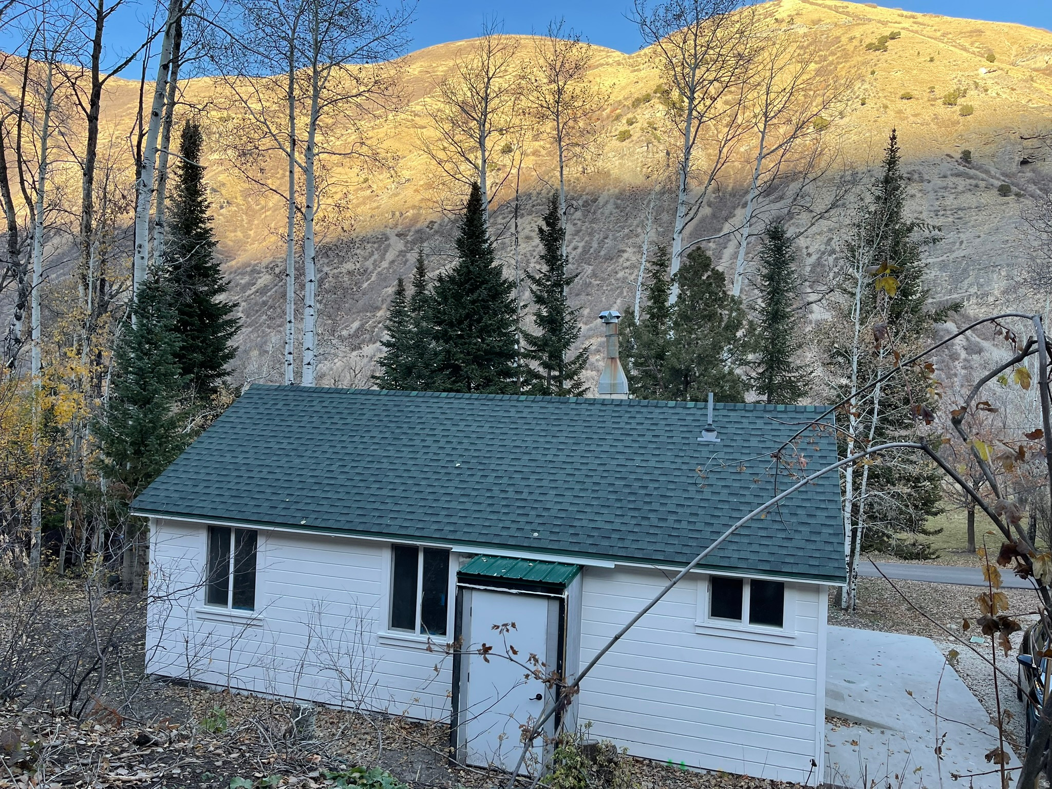 SHADYSIDE - Residential