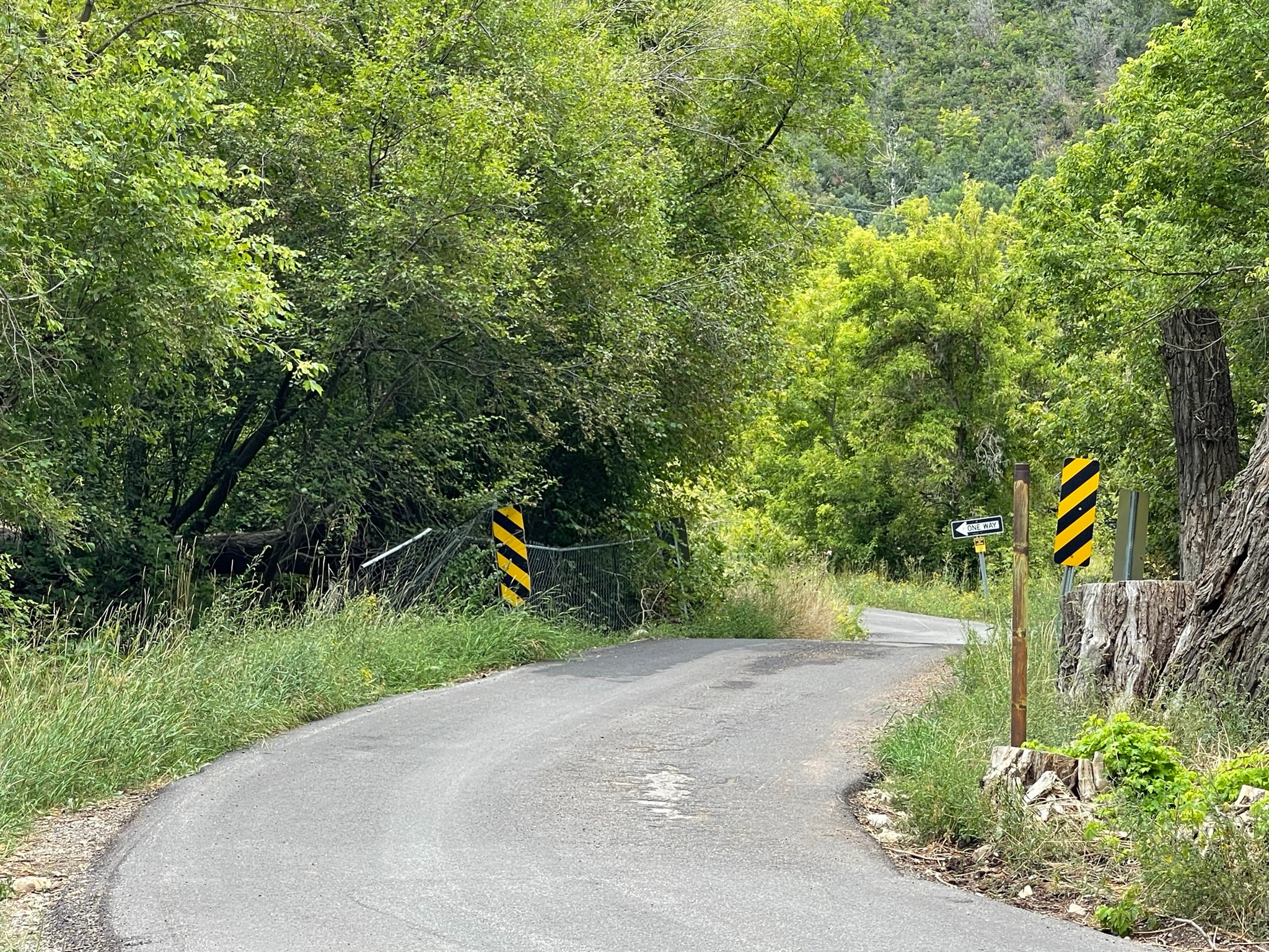 SHADYSIDE - Residential