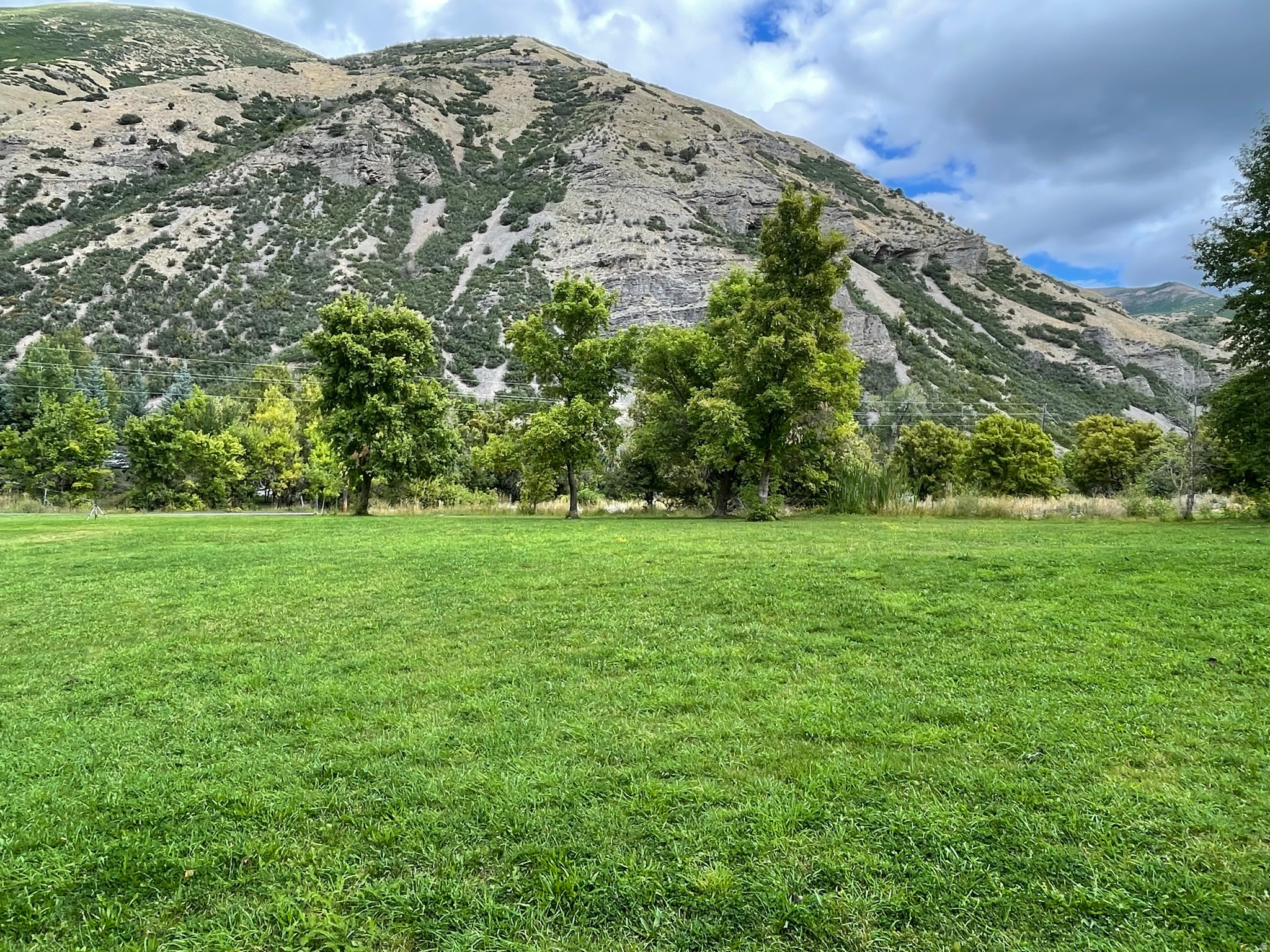 SHADYSIDE - Residential