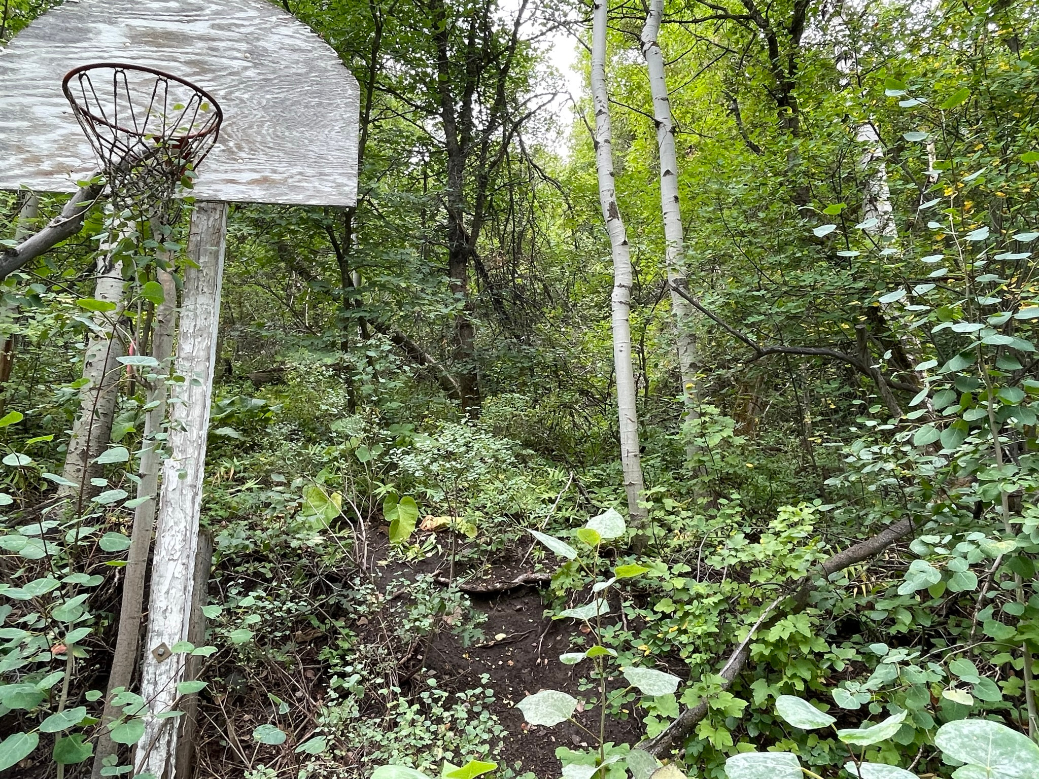 SHADYSIDE - Residential