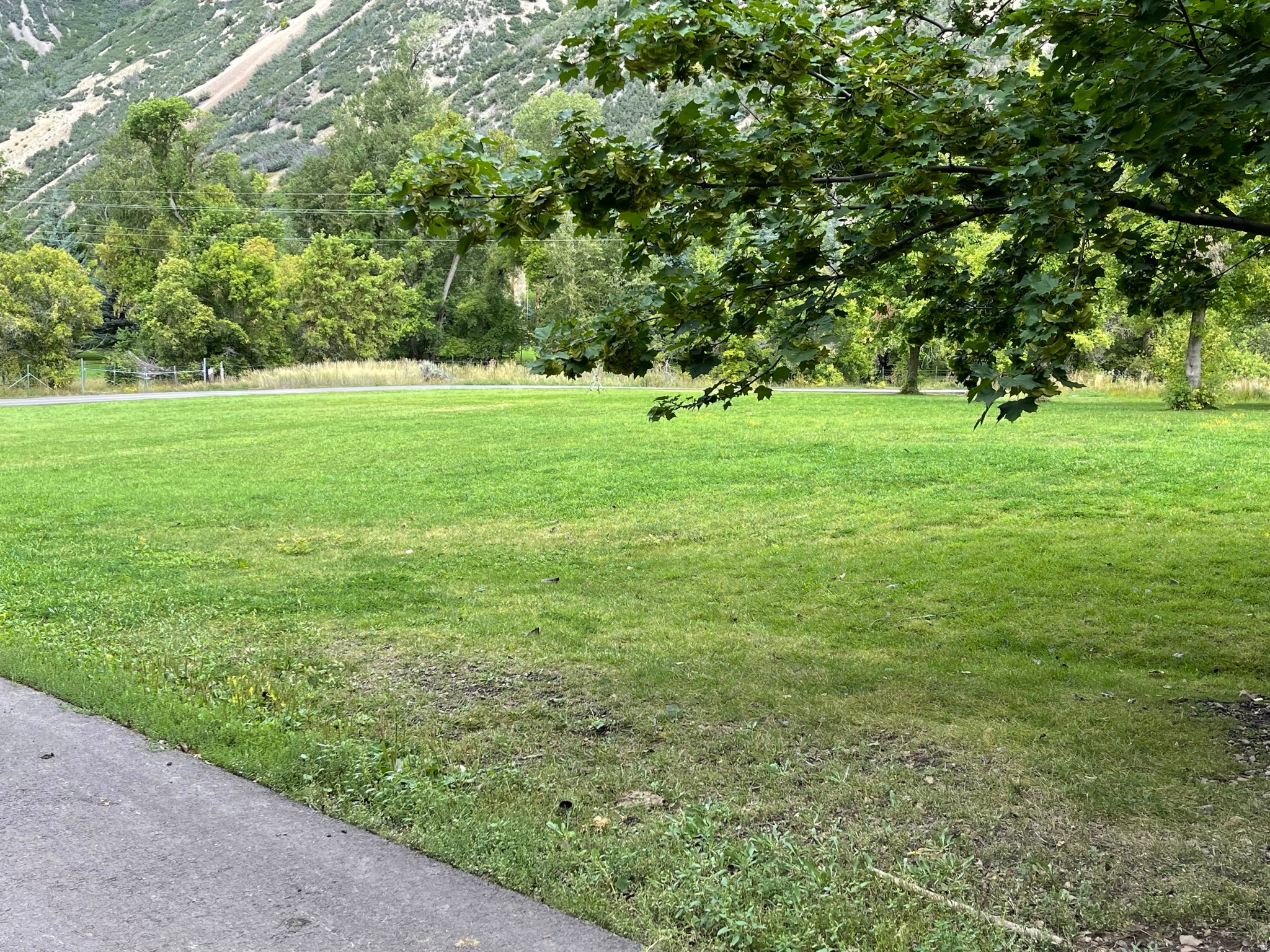 SHADYSIDE - Residential