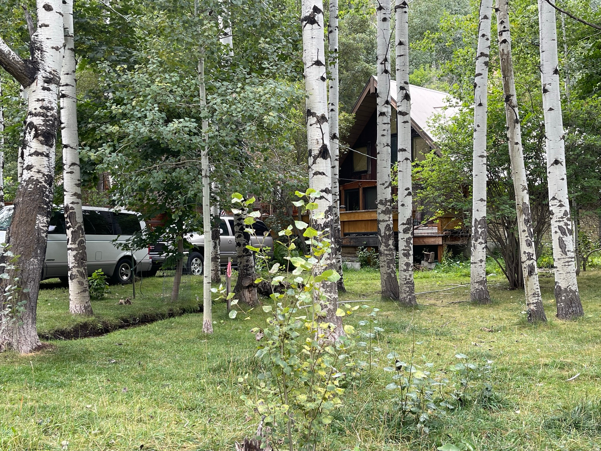 SHADYSIDE - Residential