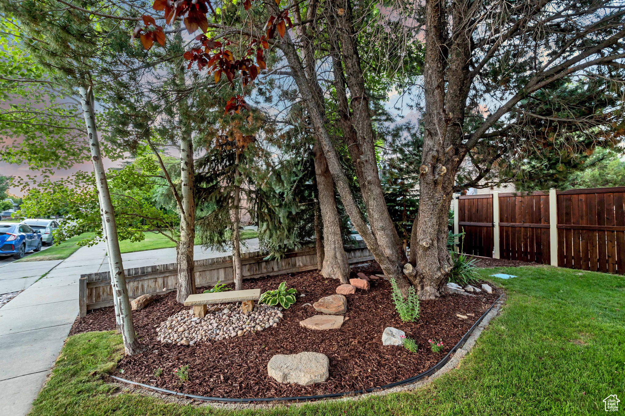 CHERRY TREE - Residential