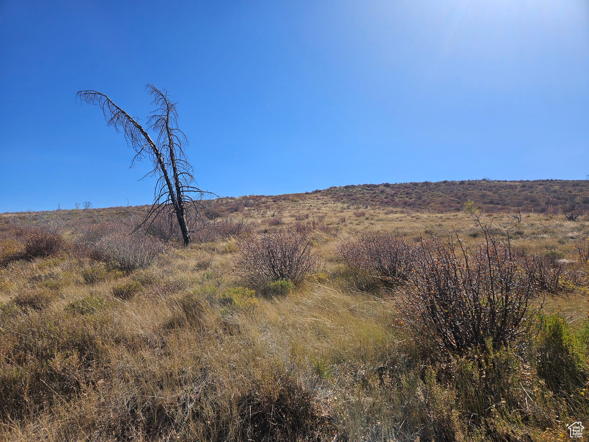 MOUNTAIN VIEW ESTATES - Land