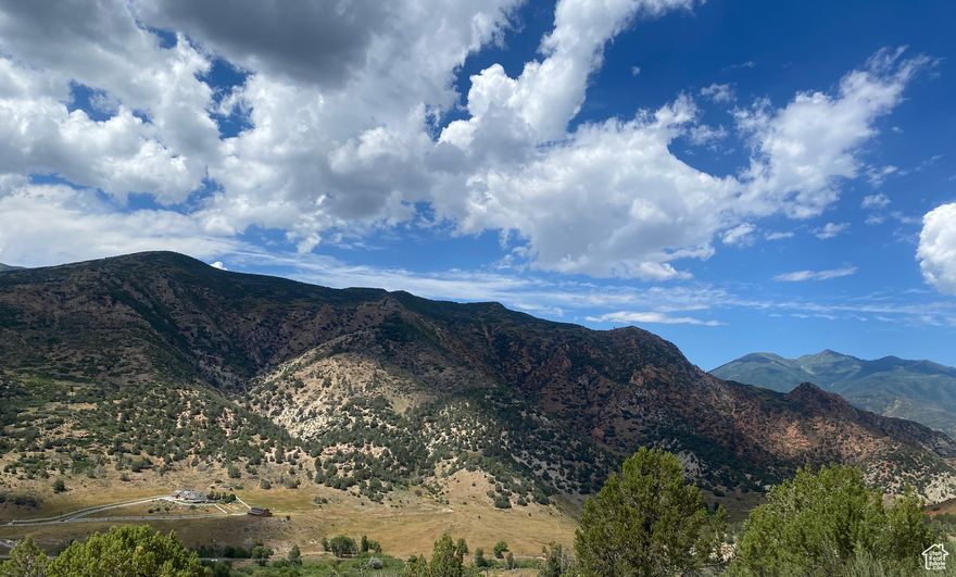Located on the East side of Route 89 in Birdseye, Utah.  This amazing 50 acre parcel with beautiful mountain and valley views is hard to imagine without seeing it.  Excellent year round access.