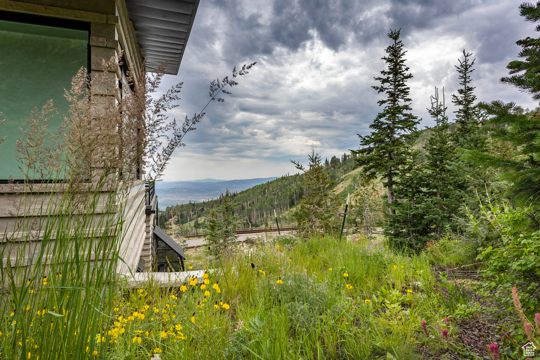 COLONY AT WHITE PINE - Residential