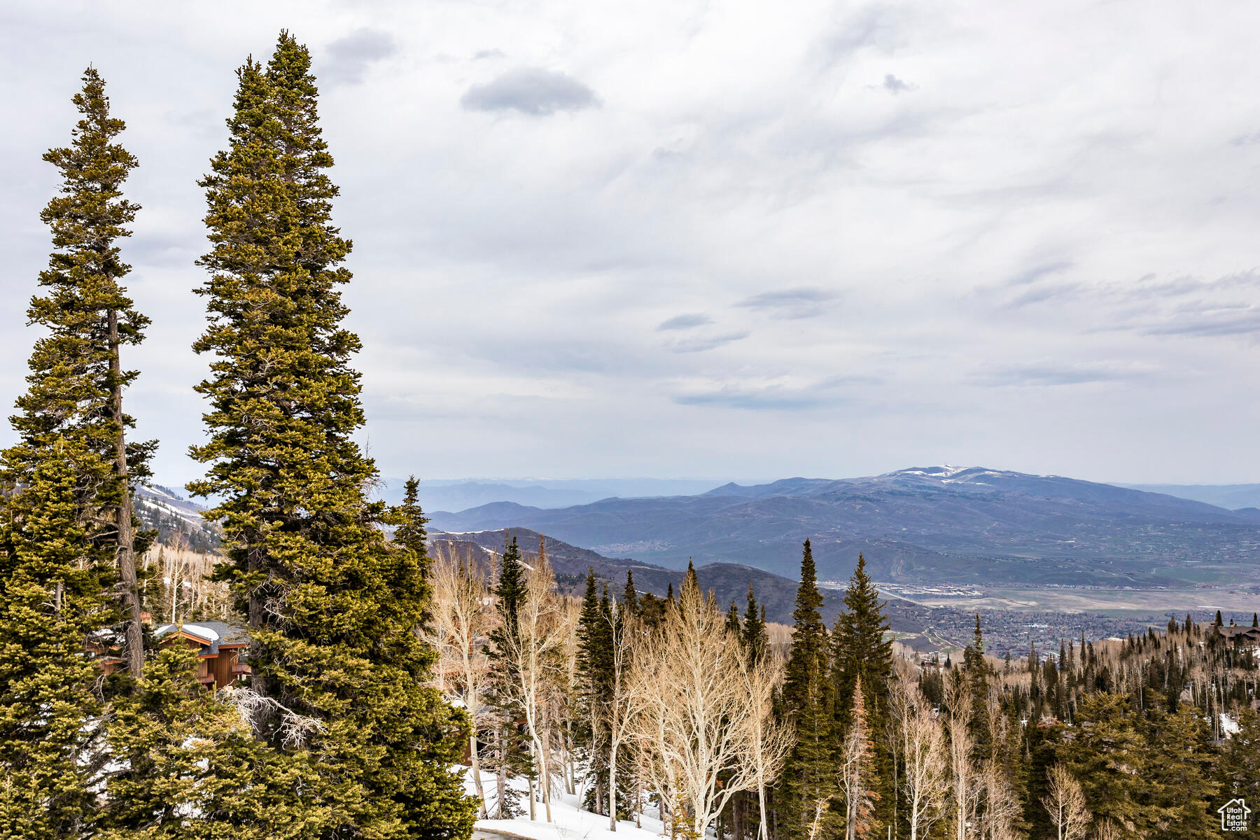 COLONY AT WHITE PINE - Residential