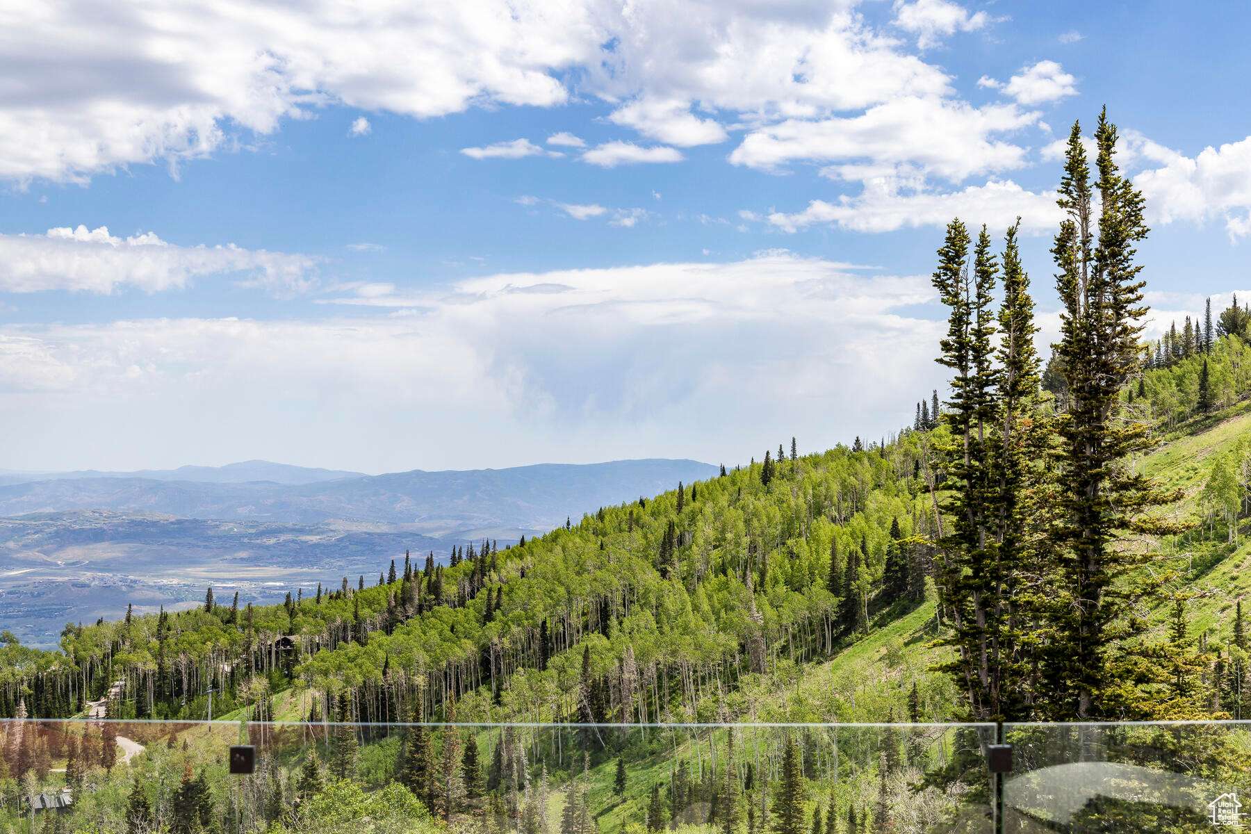 COLONY AT WHITE PINE - Residential