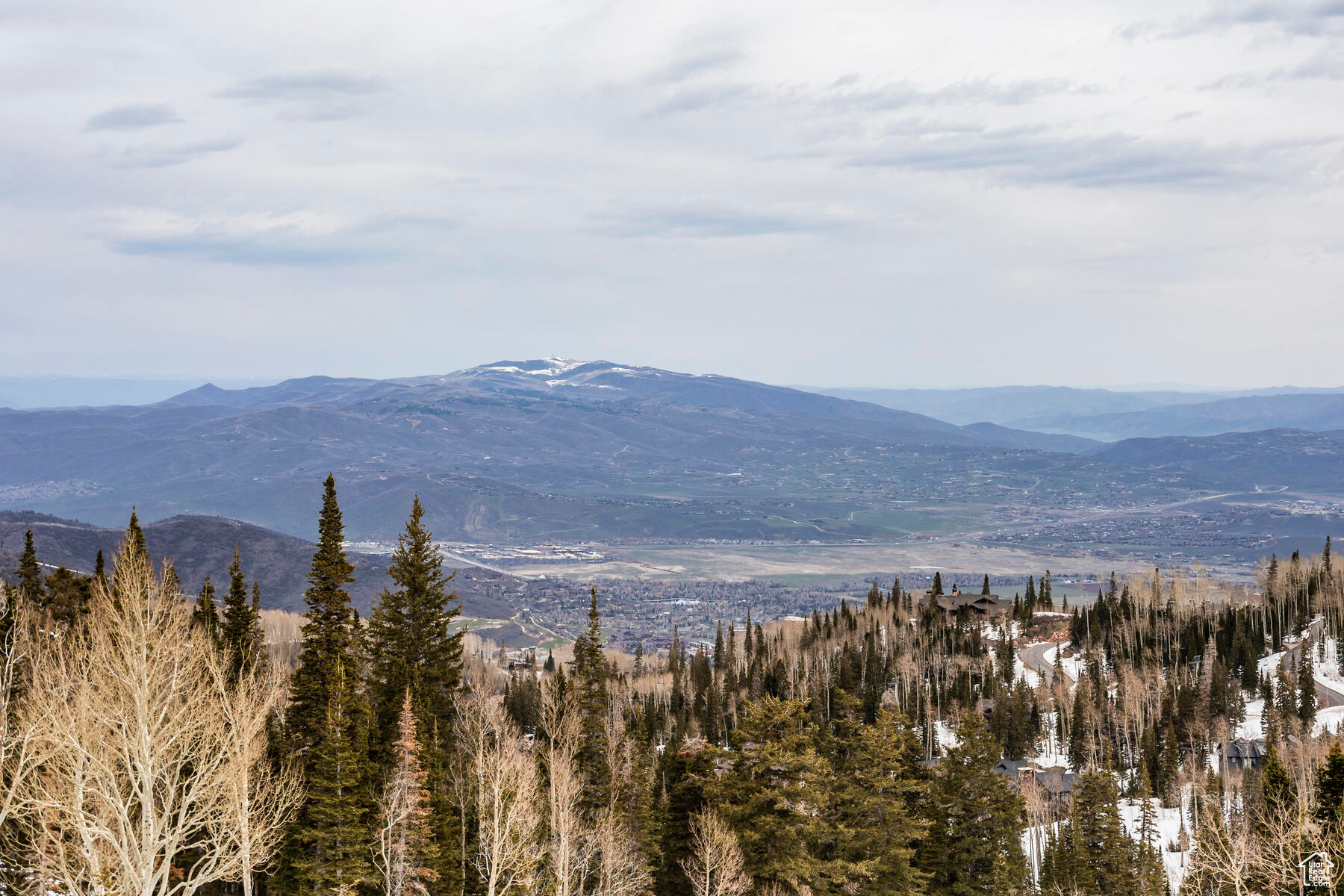 COLONY AT WHITE PINE - Residential