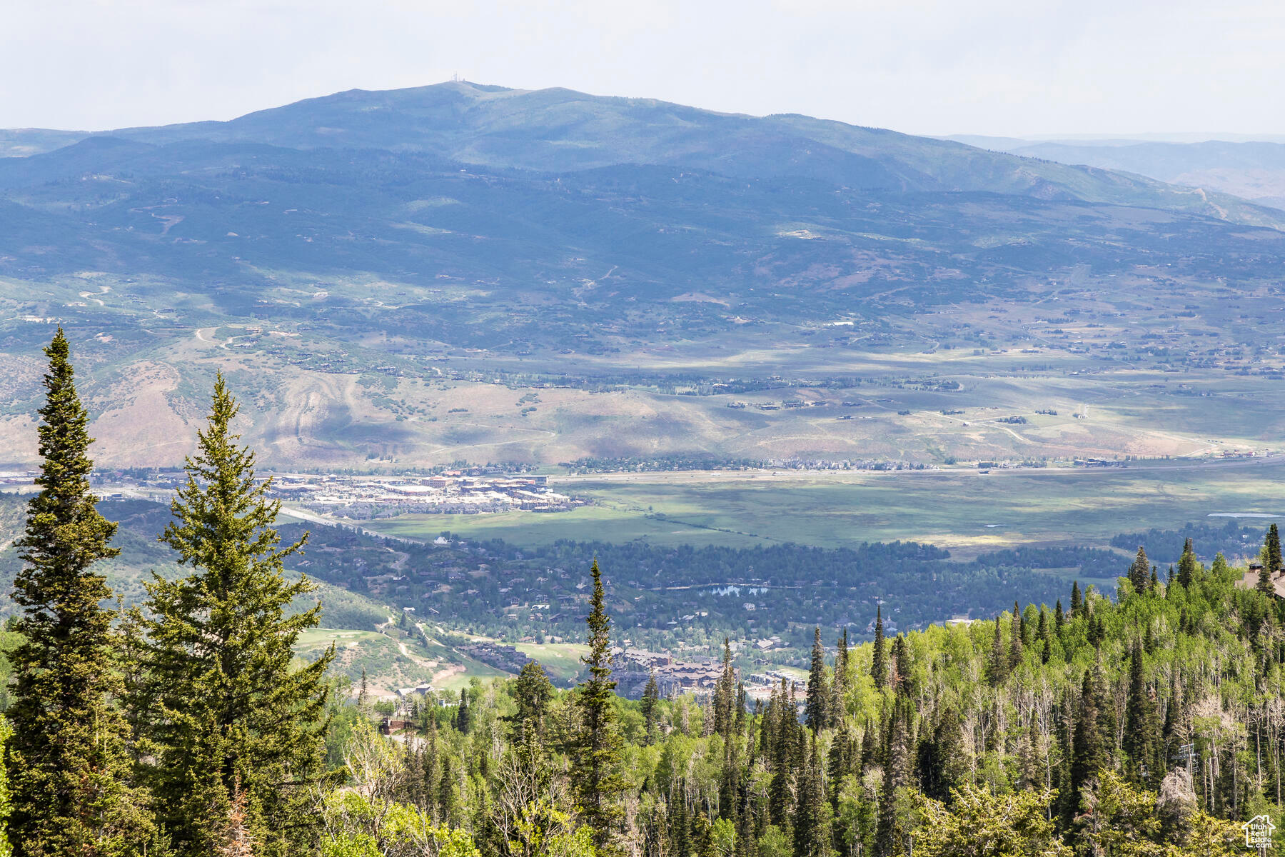 COLONY AT WHITE PINE - Residential