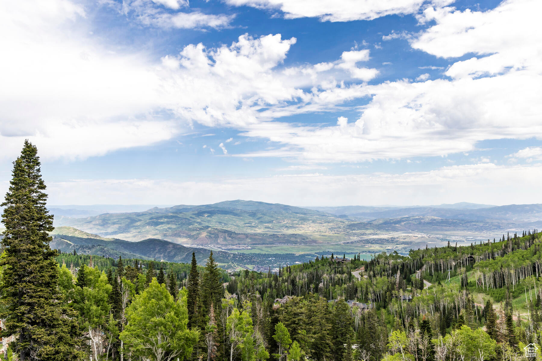 COLONY AT WHITE PINE - Residential