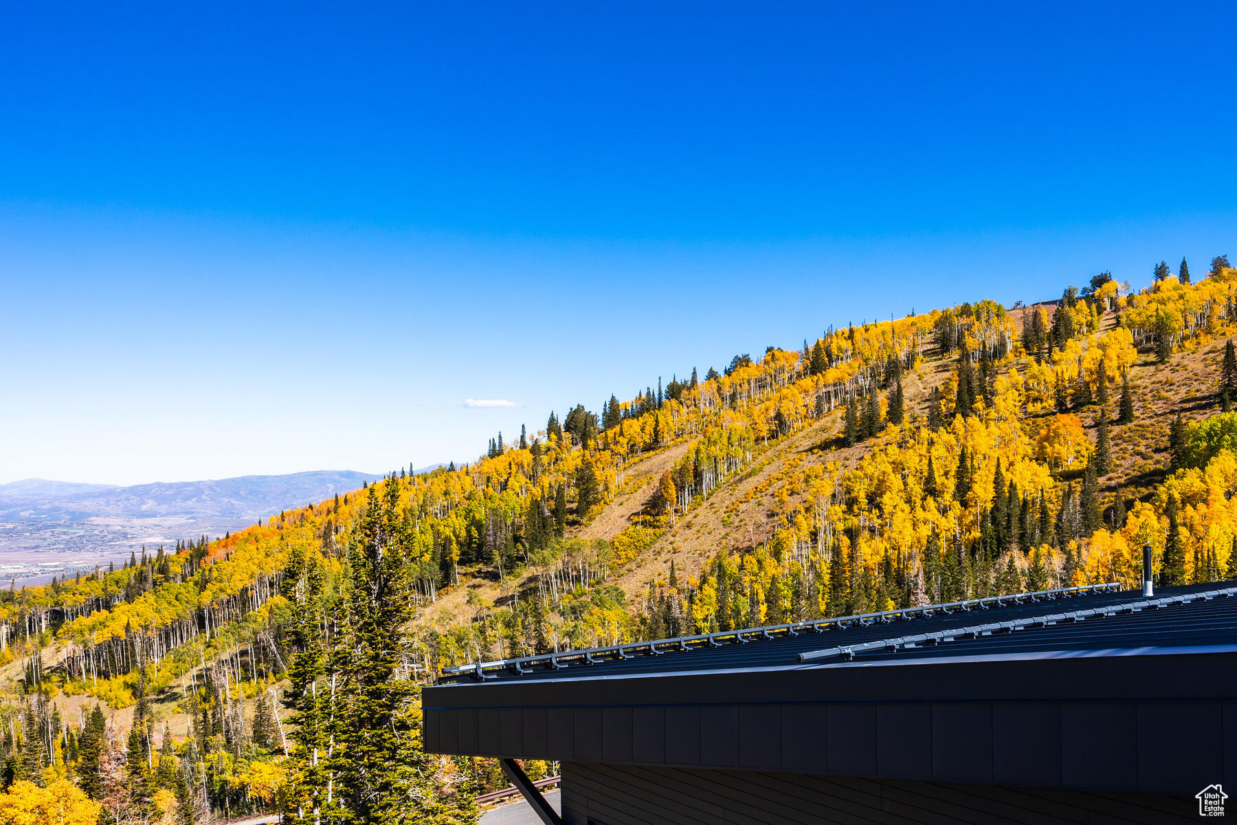 COLONY AT WHITE PINE - Residential