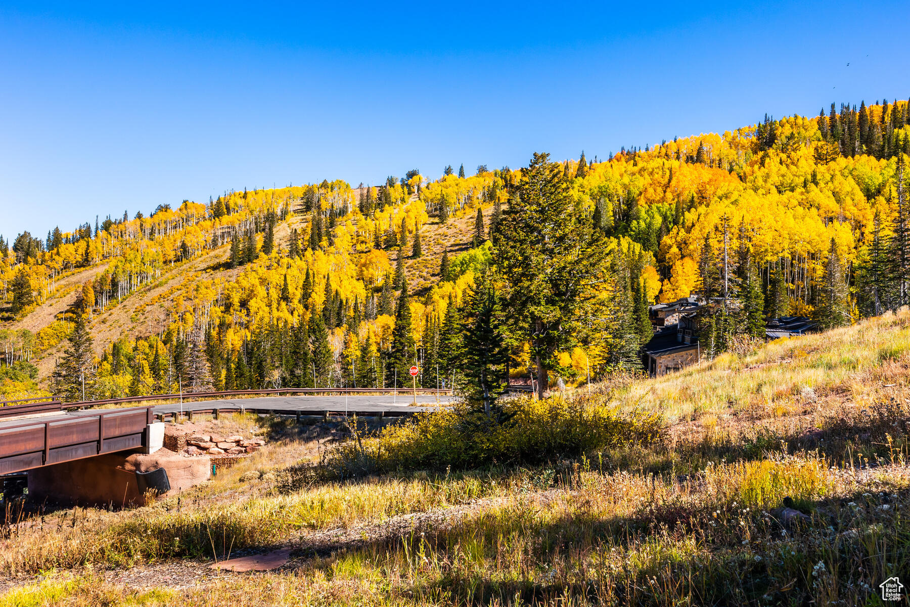 COLONY AT WHITE PINE - Residential