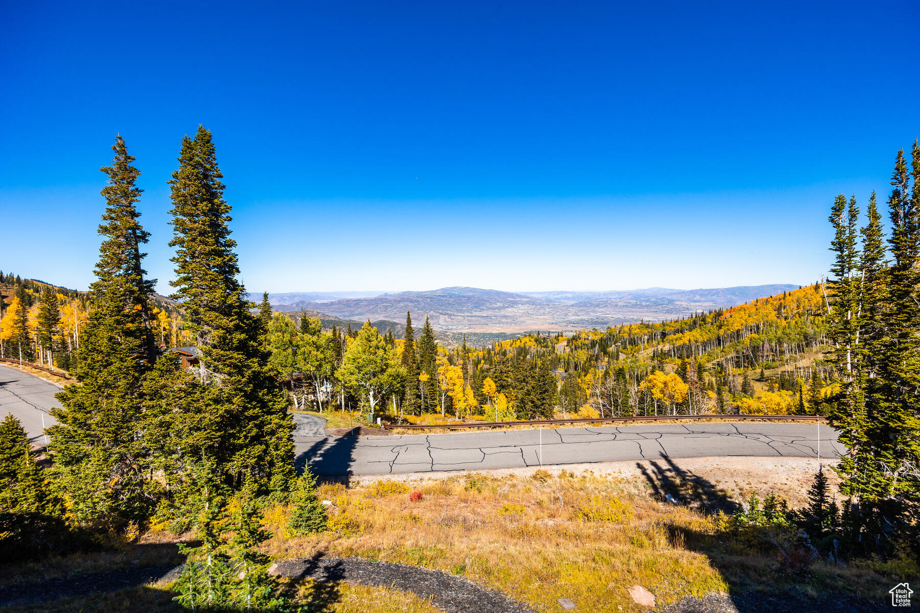 COLONY AT WHITE PINE - Residential