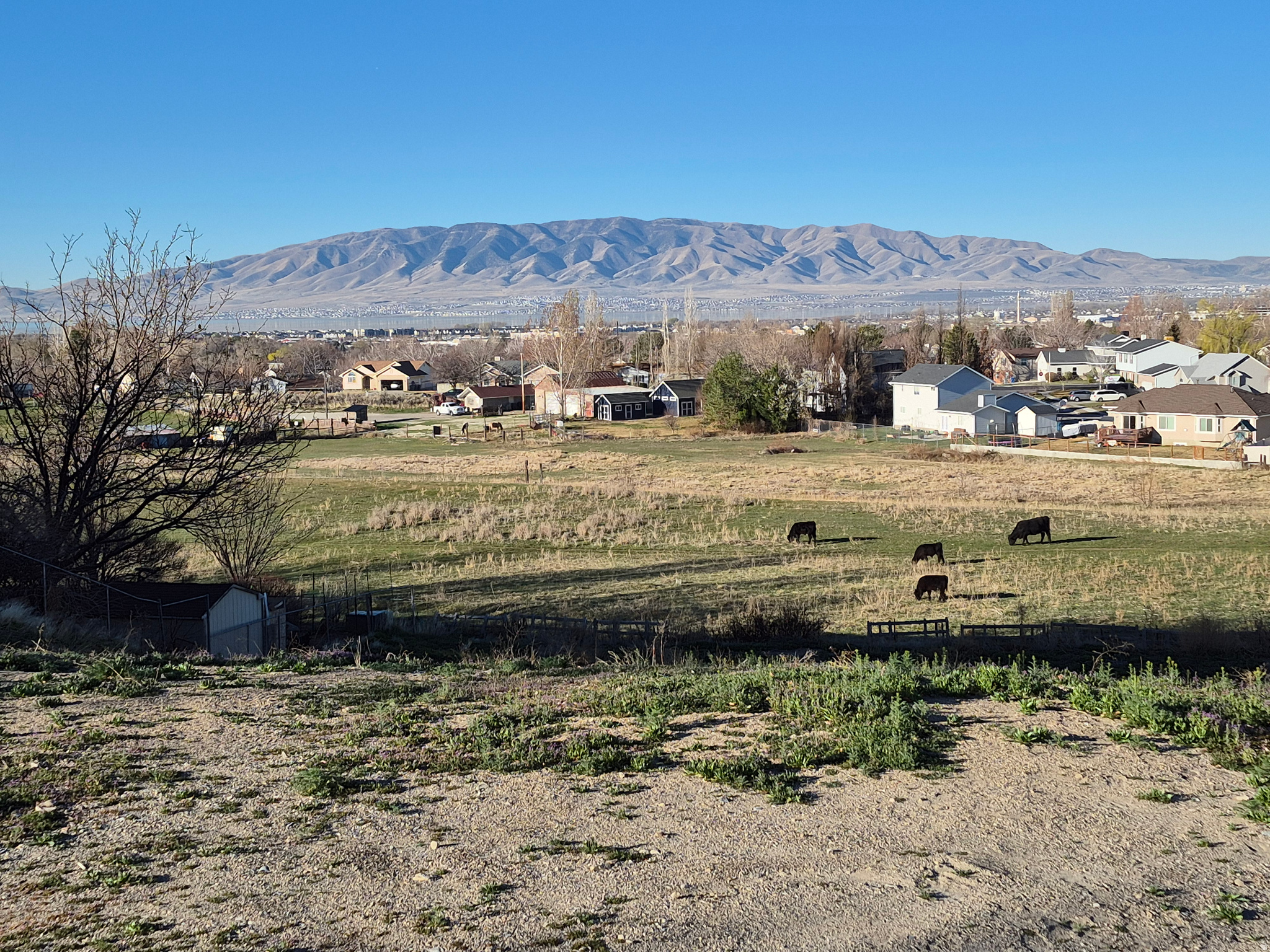 LOT4PLATI,NOB HILL SUBDSERIAL NUMBER 47:018:0004 - Land