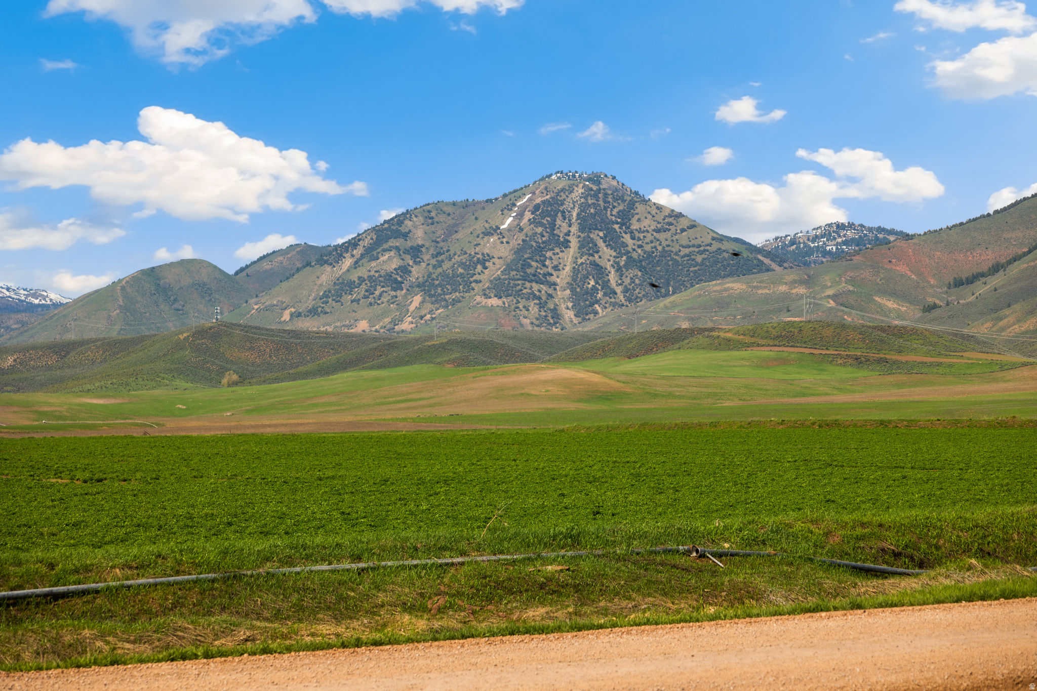 LYNN HILL SUBDIVISIO - Land