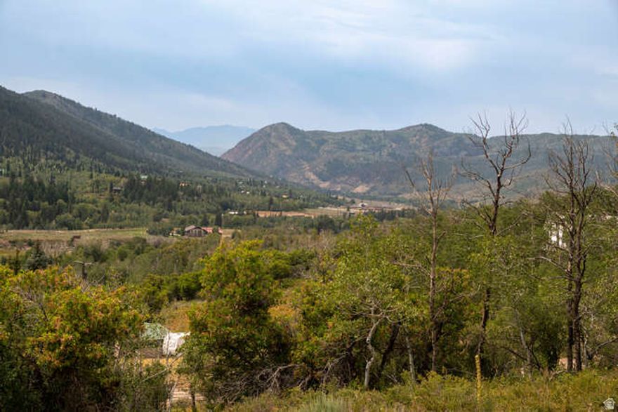 8.11 Acre lot in beautiful Beaver Springs Ranch 9 miles up Weber Canyon Road just outside of Oakley.  Incredible opportunity to build your dream home on this amazing parcel. Architectural plans available.  Stunning mountain setting - hiking, mountain biking, fishing in the summer and snowmobiling and cross country skiing in the winter.  Gorgeous location with extraordinary views. One share of Cool Springs Water Company.