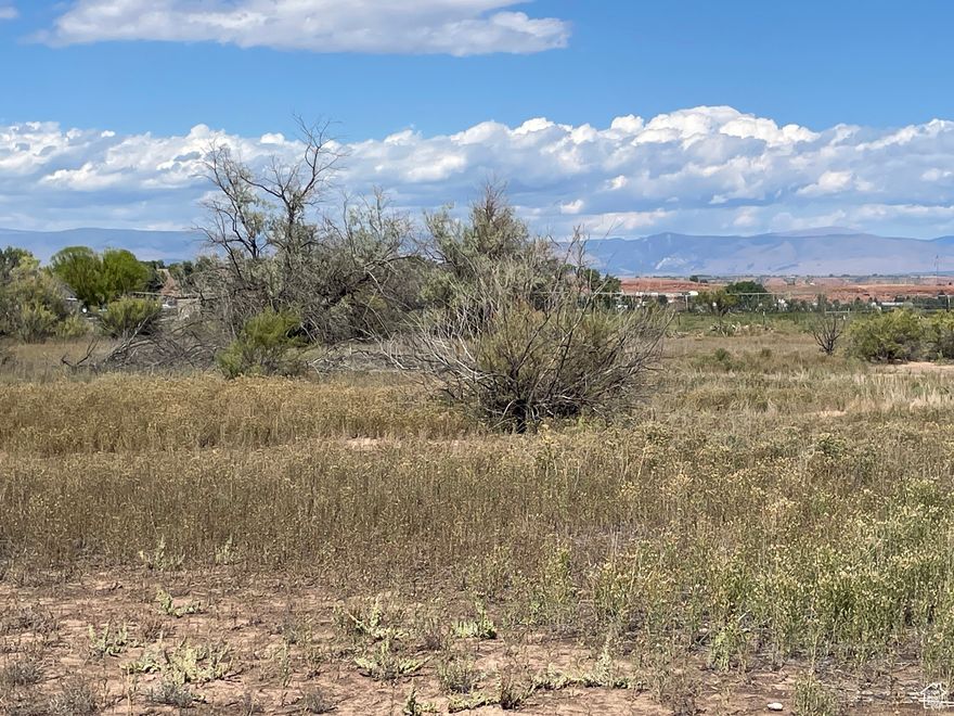 Discover the perfect balance of seclusion and convenience with this 14.13 acre property located on Pole Line Road. Tucked away in a quiet and peaceful setting, this expansive parcel offers a rare opportunity for development, investment or the creation of your dream homestead.  Two irrigation water shares are available at an additional cost.  Ask agent for more info.