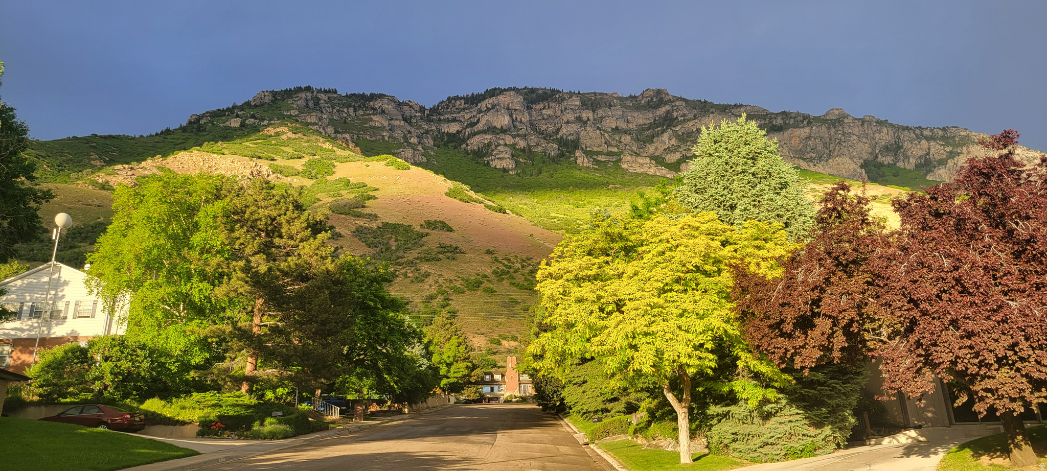 OAK HILLS - Residential