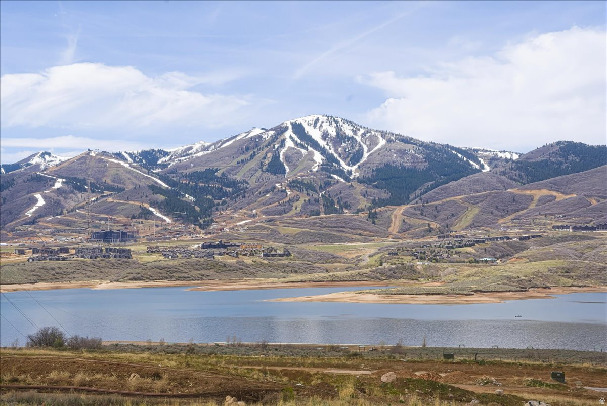 SHORELINE - Residential