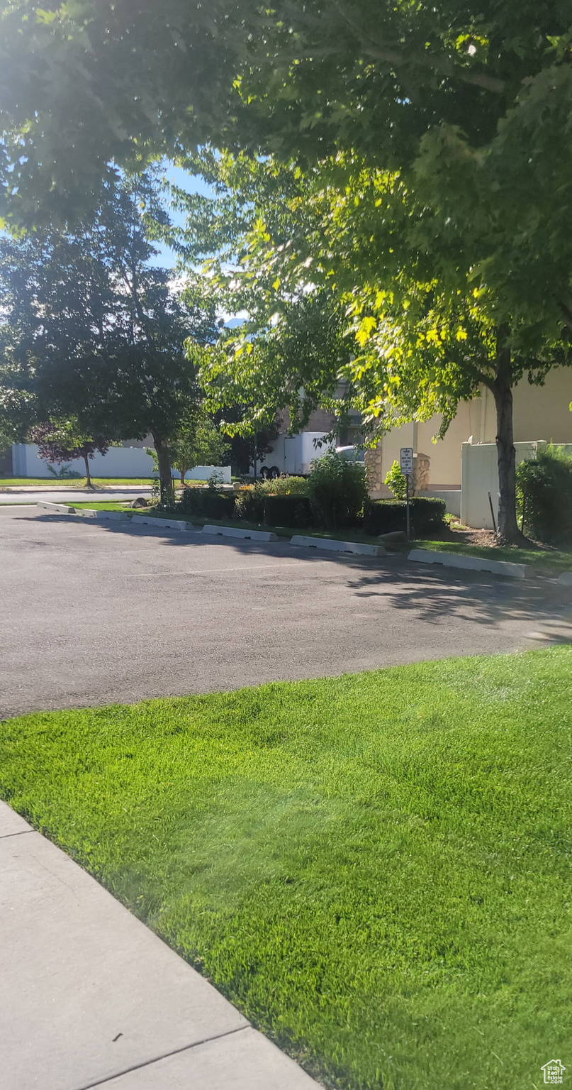 WHITE PINES - Residential