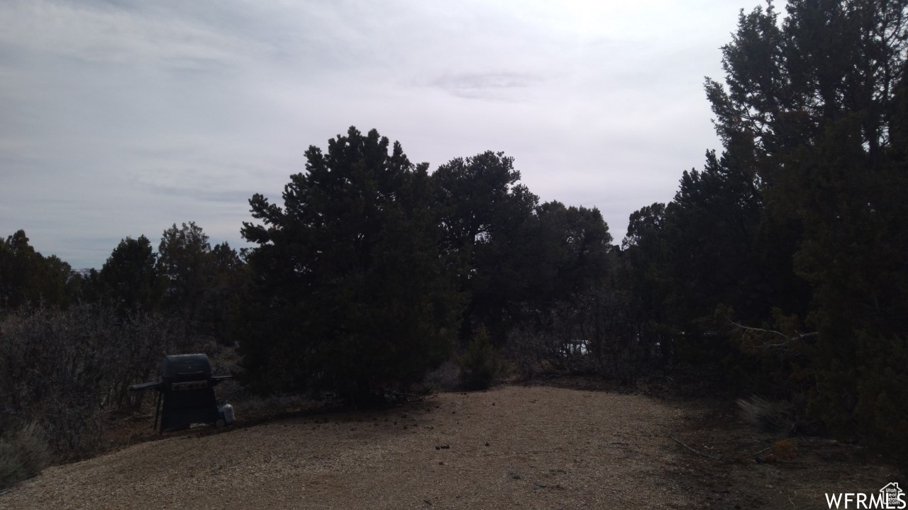 BANDANNA RANCH - Land