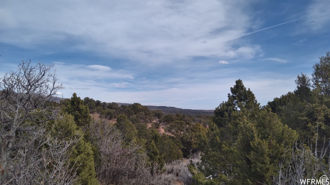 BANDANNA RANCH - Land