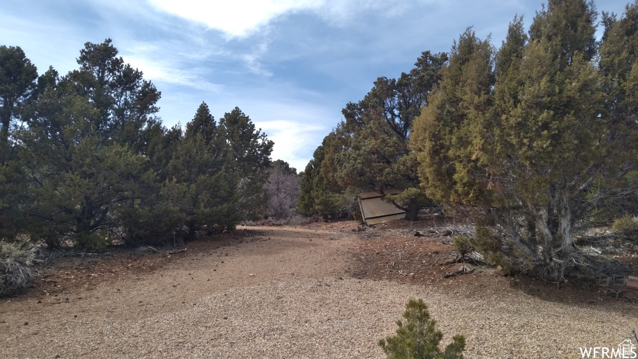 BANDANNA RANCH - Land