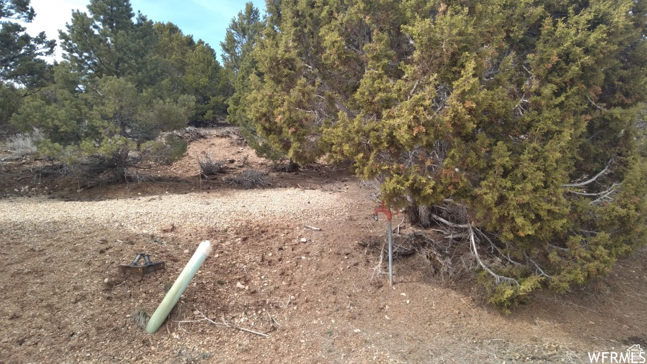 BANDANNA RANCH - Land