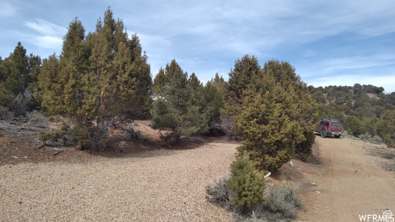 BANDANNA RANCH - Land