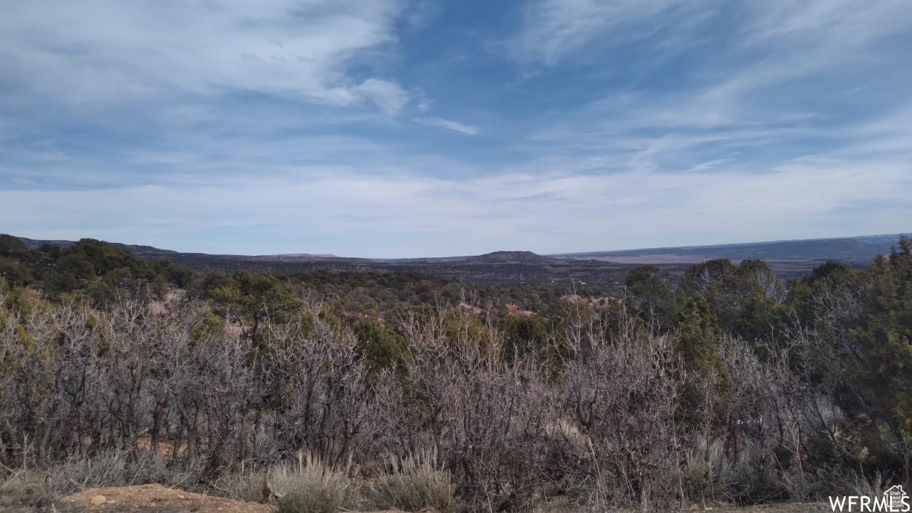 BANDANNA RANCH - Land