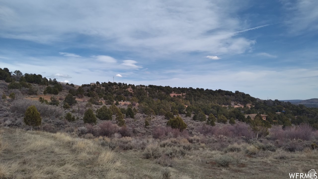 BANDANNA RANCH - Land