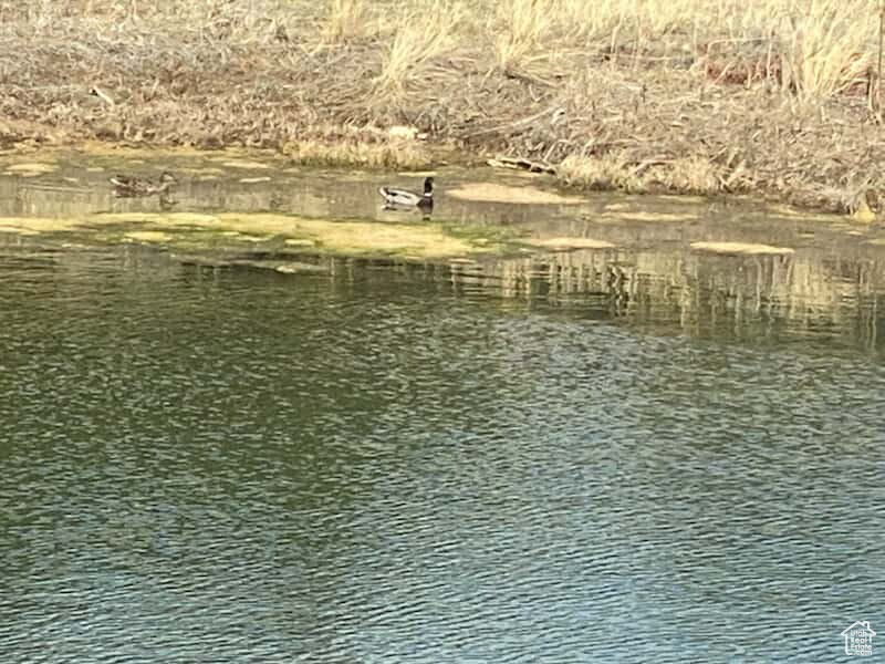 BANDANNA RANCH - Land