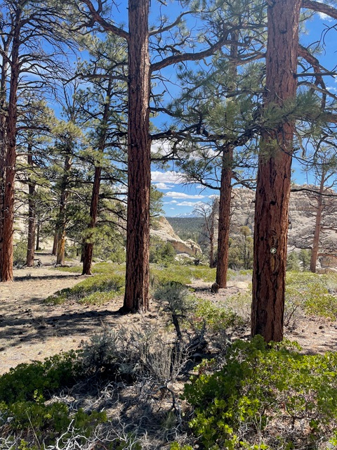 BOULDER VISTA, PHASE 2 - Land