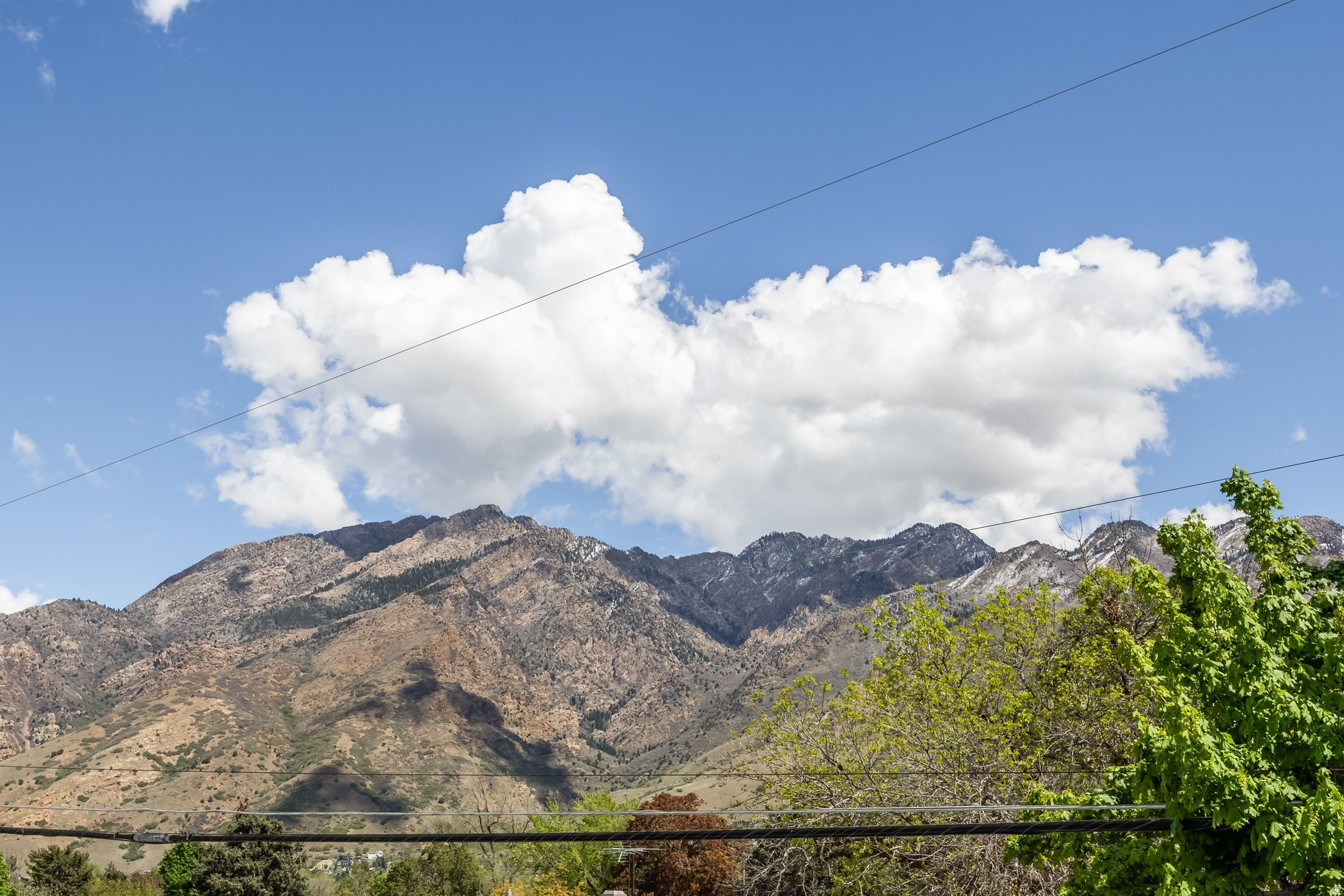 COTTONWOOD HEIGHTS - Residential