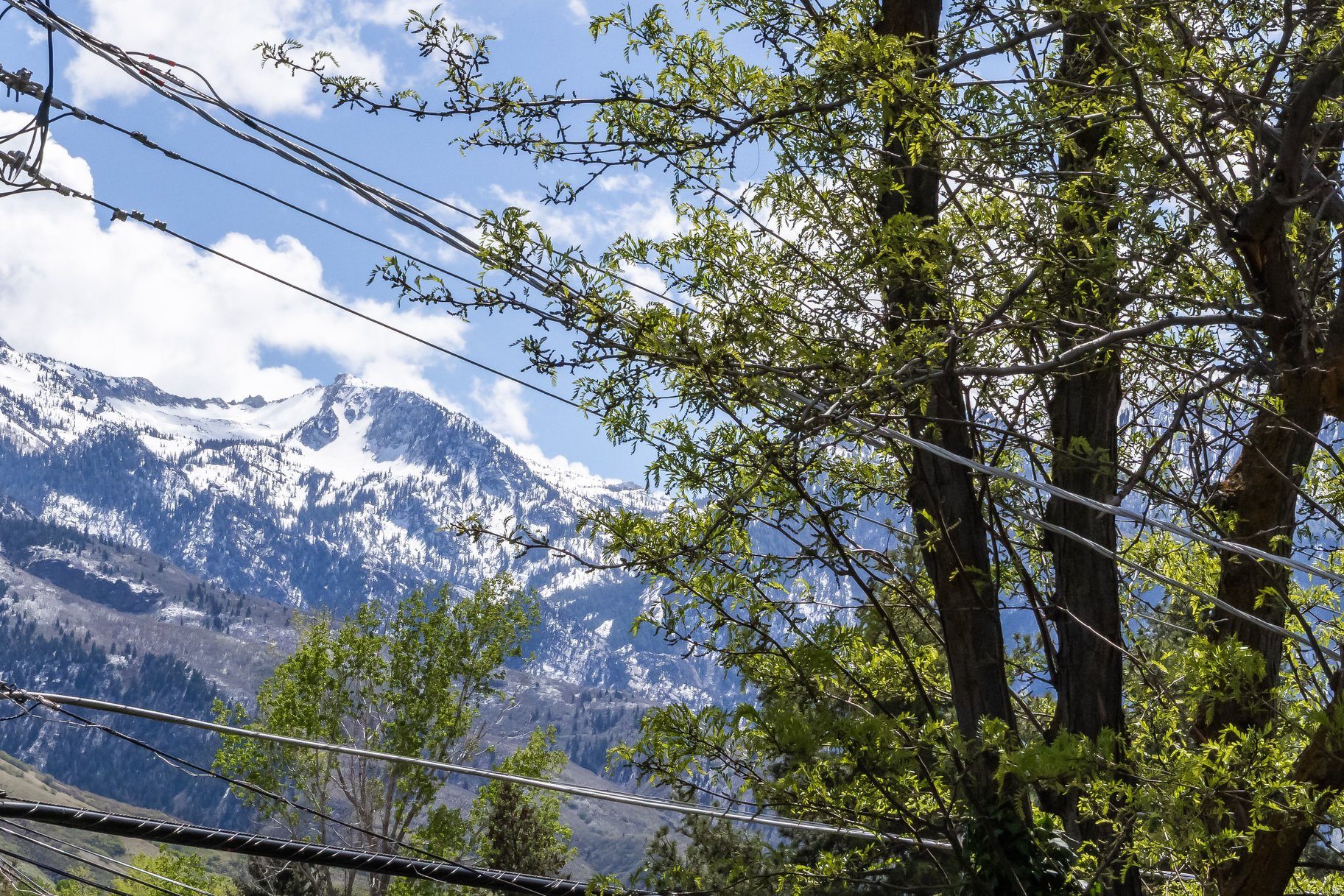 COTTONWOOD HEIGHTS - Residential