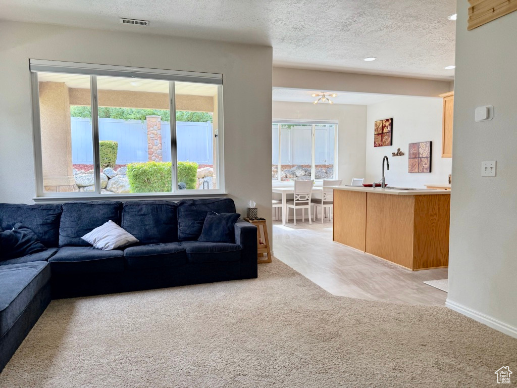 HUNTER VILLAGE - Residential