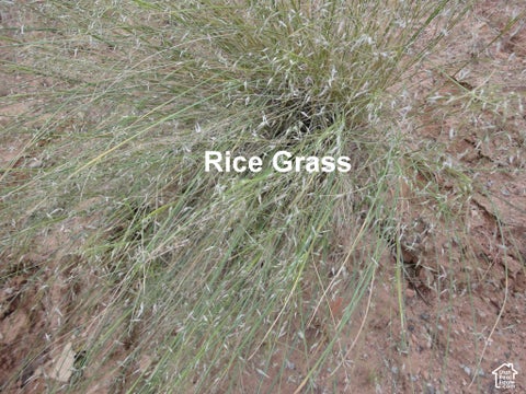 Tiny photo for 0, Cisco, UT 84515 (MLS # 2193011)
