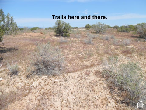 Tiny photo for 0, Cisco, UT 84515 (MLS # 2193011)