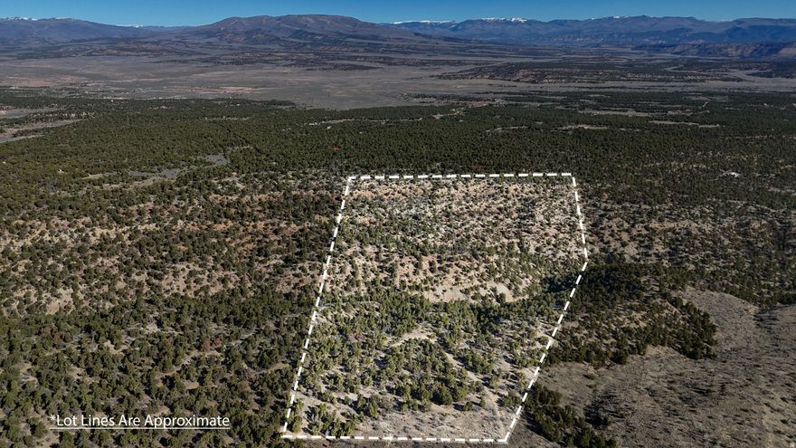 Discover an unparalleled opportunity to secure a significant footprint in the heart of Utah's high-country wilderness with this expansive 43.75-acre land-only listing. Situated at an impressive 8,000-foot elevation, this premier parcel offers a refined retreat for those seeking a lifestyle defined by outdoor adventure and absolute seclusion. The property is approximately 30 minutes southwest of Duchesne near Buck Knoll and Lake Canyon, serving as a prestigious gateway to the best of rural Duchesne County. The land is characterized by beautiful, dense wooded areas that provide a natural sanctuary for local wildlife and a private backdrop for a future mountain estate. For the strategic buyer, the property offers unique flexibility with the potential to be subdivided into 10-acre parcels, allowing for a personalized family compound or a curated investment. Life at Elk Meadows is defined by its proximity to world-class recreation; residents can spend their days fishing the pristine waters of Currant Creek, navigating an extensive network of OHV and off-roading trails, or exploring the vast hunting grounds that surround the area. Whether you envision a high-elevation trophy ranch, a private hunting lodge, or a quiet off-grid escape, this substantial piece of the Fruitland landscape provides the space and raw beauty to bring that vision to life.