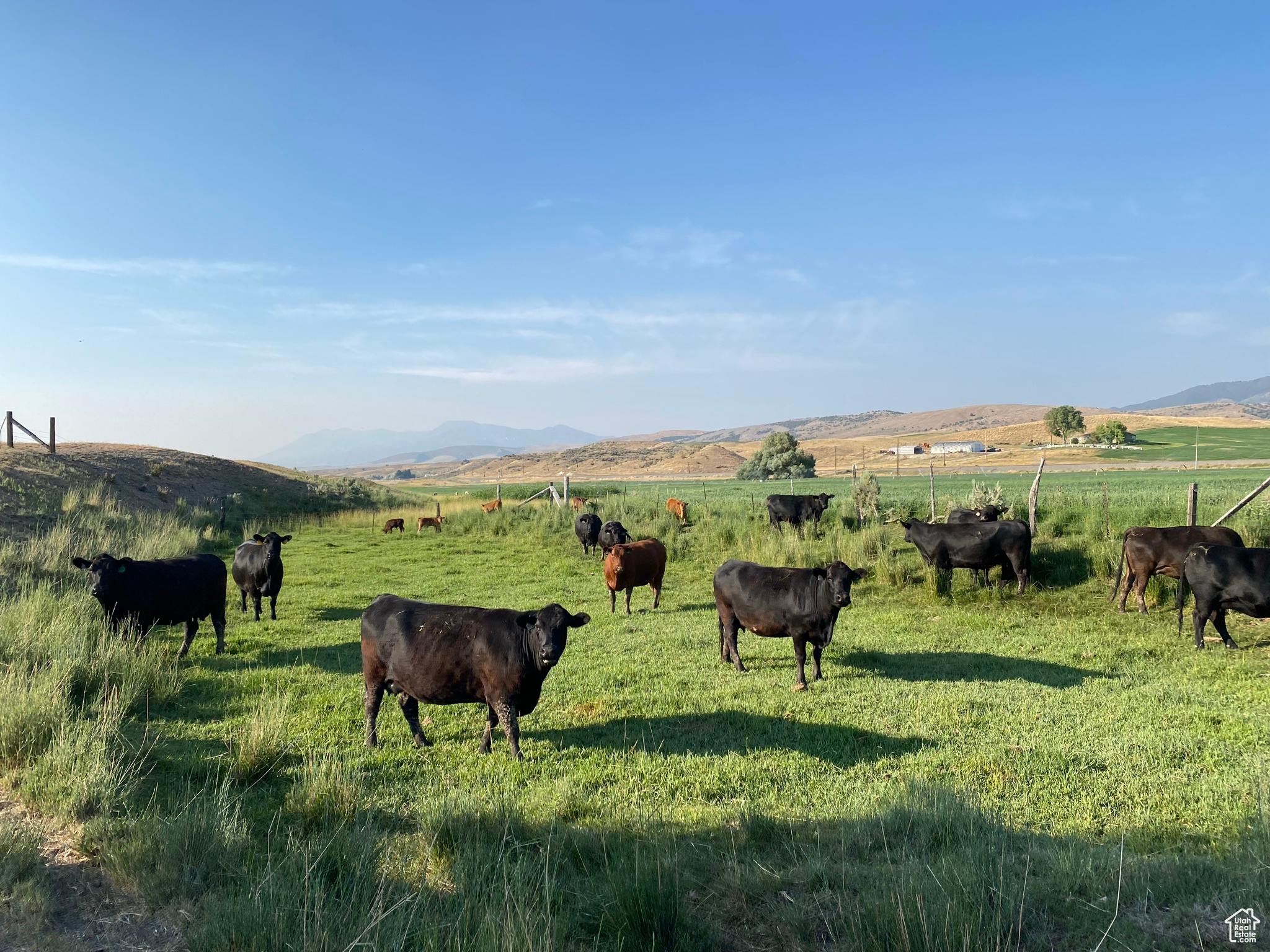 17535 S Old Highway 91, Downey, Idaho image 3