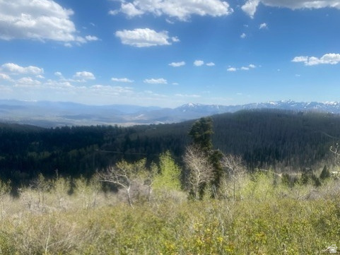 PINE MEADOWS - Land