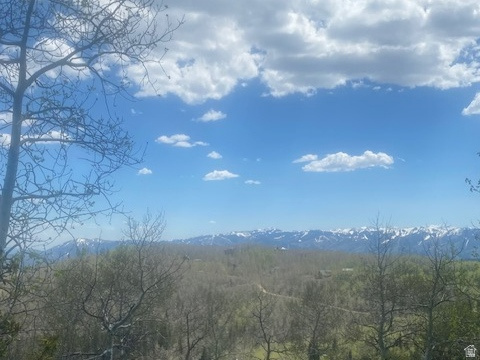 PINE MEADOWS - Land